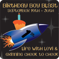 Birthday Boy Blast