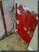 Mold_Behind_Cabinet