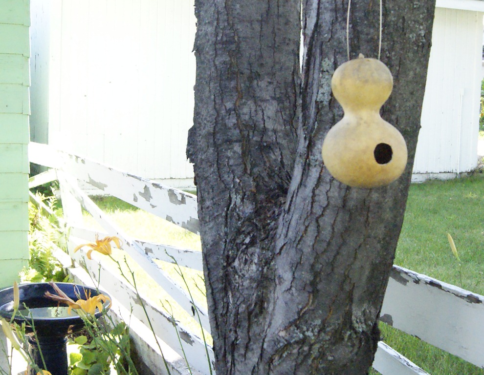 Making a Birdhouse with a Gourd!