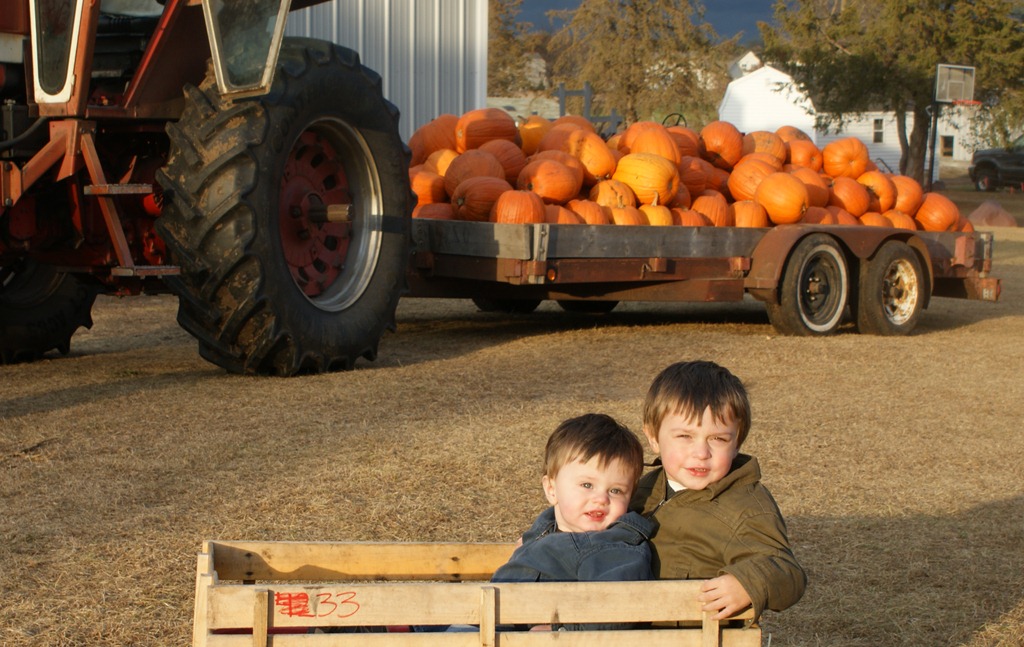 Pumpkins.  I Love Fall.