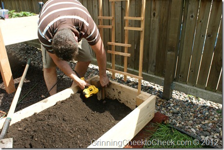 building a trellis