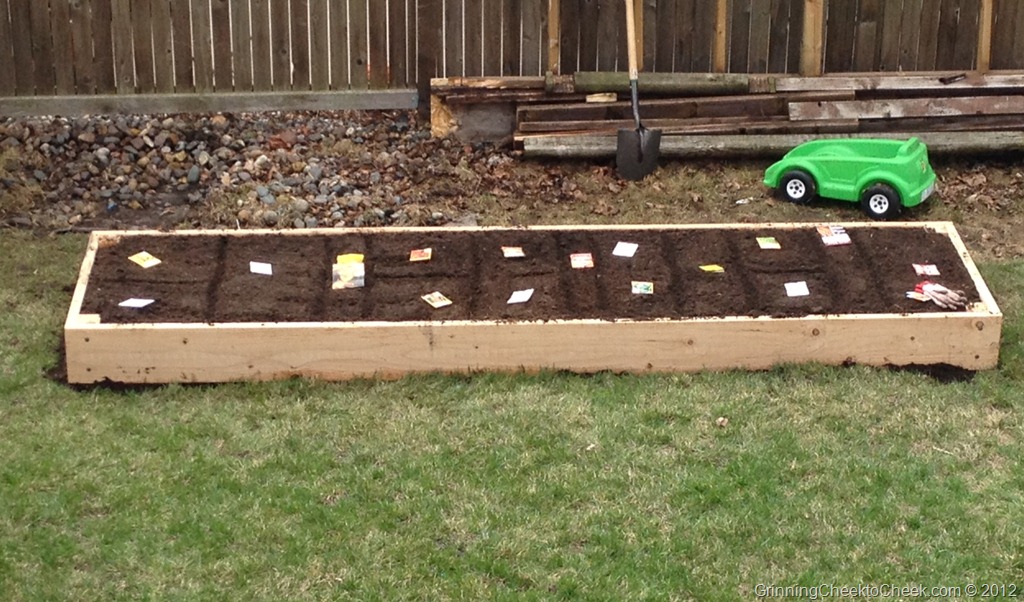 Building our Box Garden