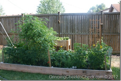 Garden in Backyard