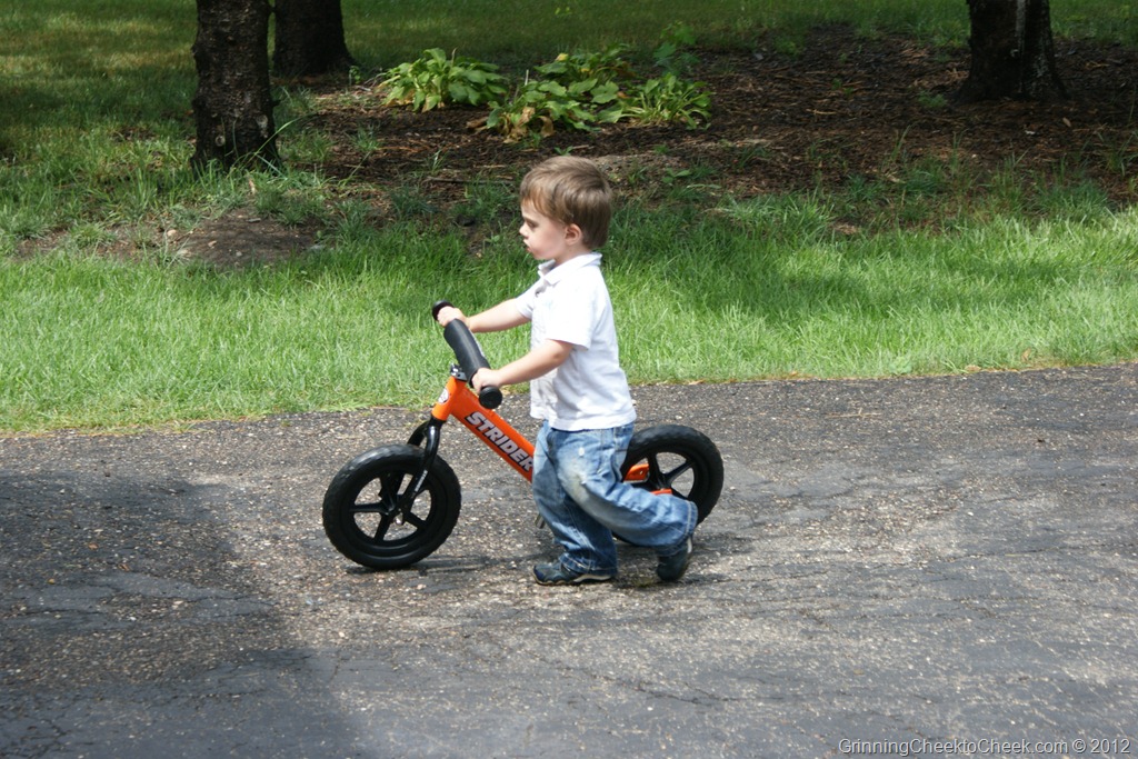 balance bike transition