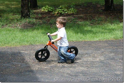 toddler with bike