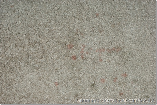 carpet stains