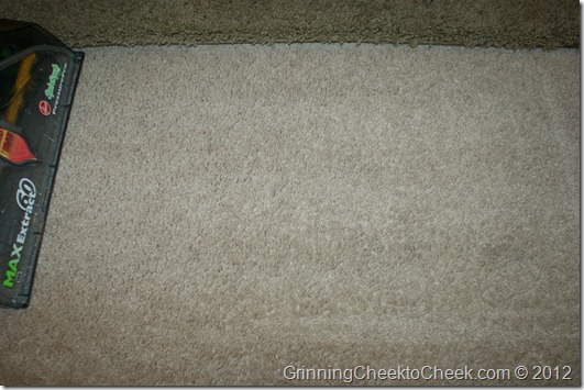 clean carpet