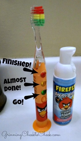 FireFly Ready Go Toothbrush