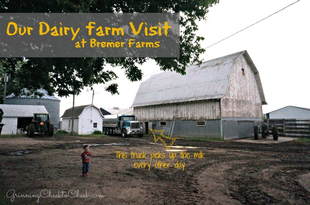 Our Dairy Farm Visit at Bremer Farms #DairyMom