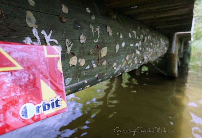 Gum Under Bridge