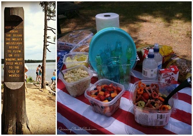 Itasca Picnic