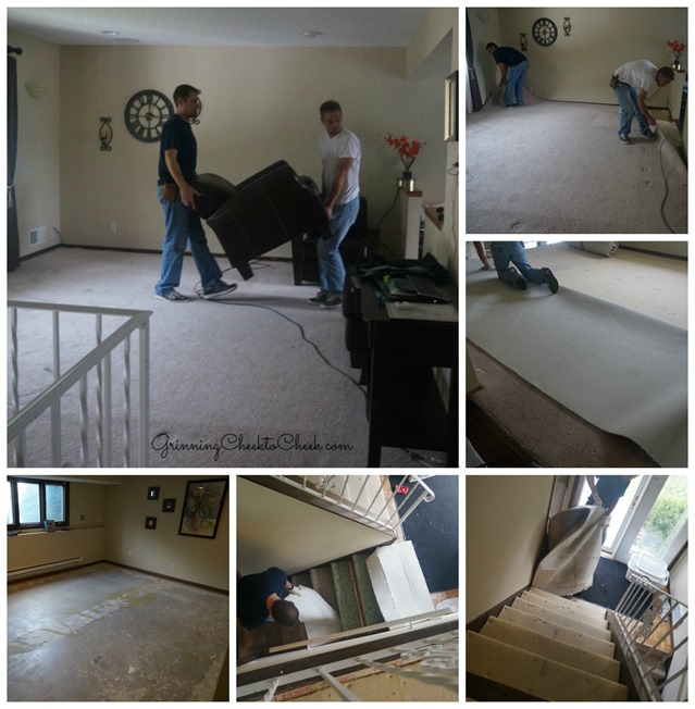 Carpet Installers