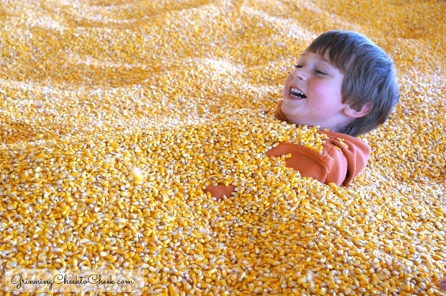 Corn Pit