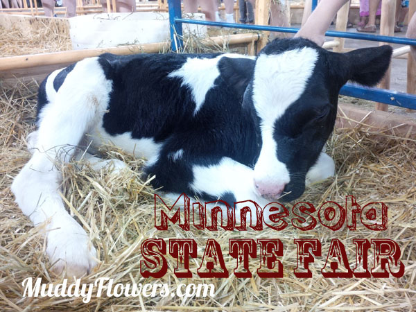 Blackberry Z10 goes to the State Fair #sponsored
