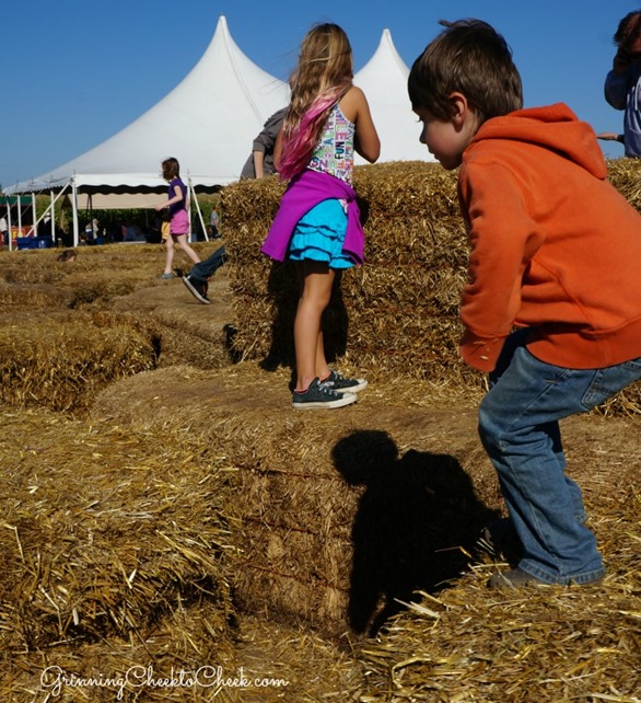 hay maze minneapolis