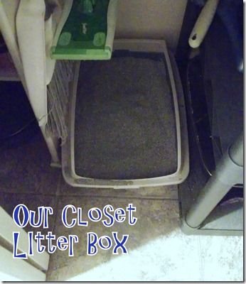 Fresh Step Litter Box