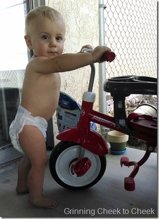 My Little Red….. Trike!