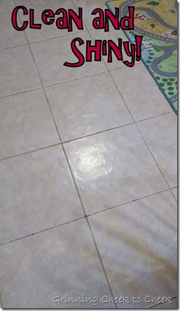 Bissel Clean Floor