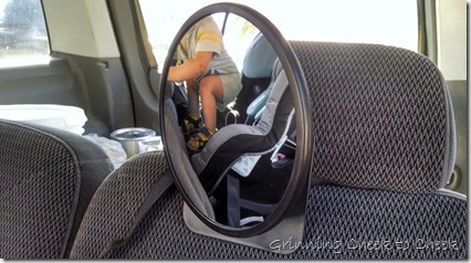 Diono Car Mirror