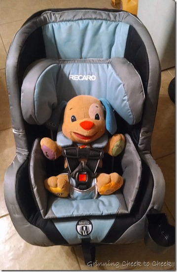 Recaro Performance Convertible Car Seat Infant