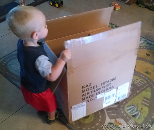 Moving with a Toddler