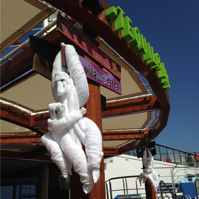 towel animals