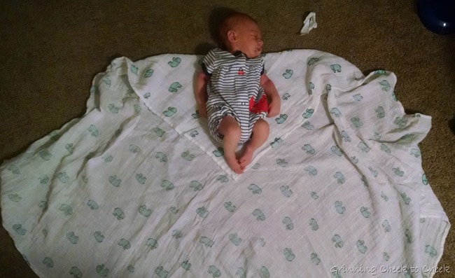aden + anais Swaddles and Giveaway!