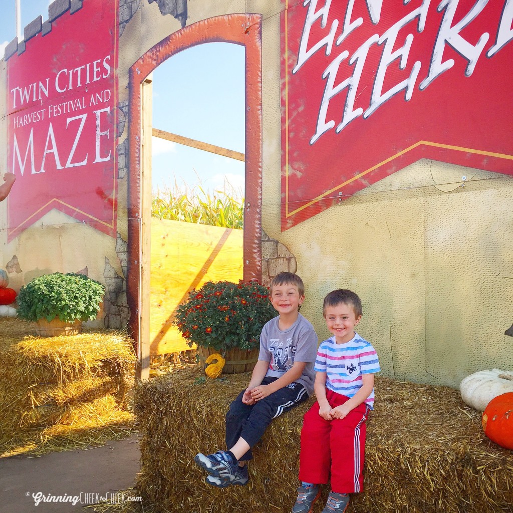 Corn Maze