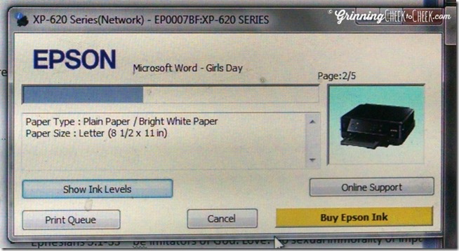 epson status