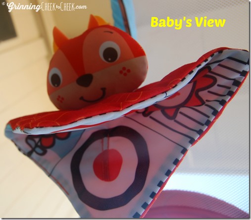 Gymini Baby View