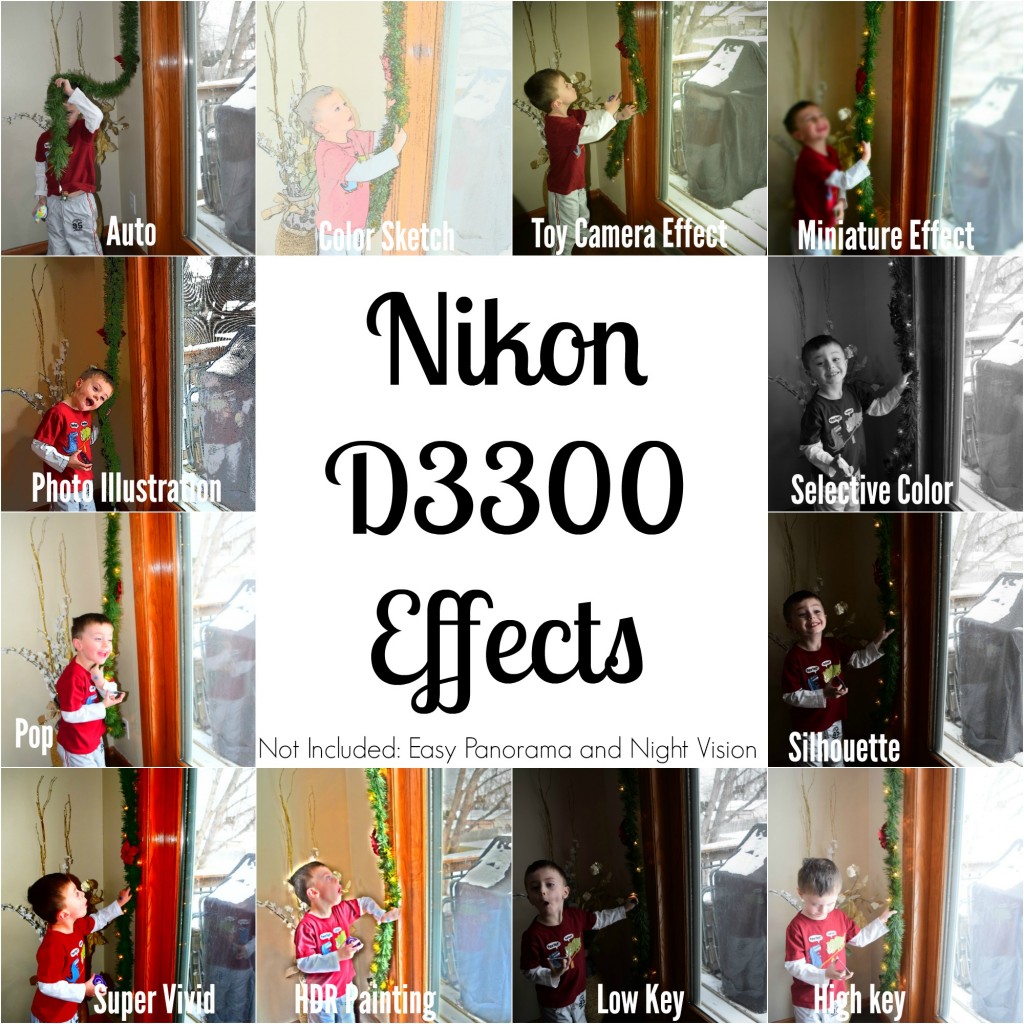 Nikon D330 Effects 1