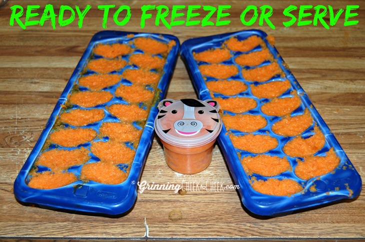 Super Easy Homemade Baby Food