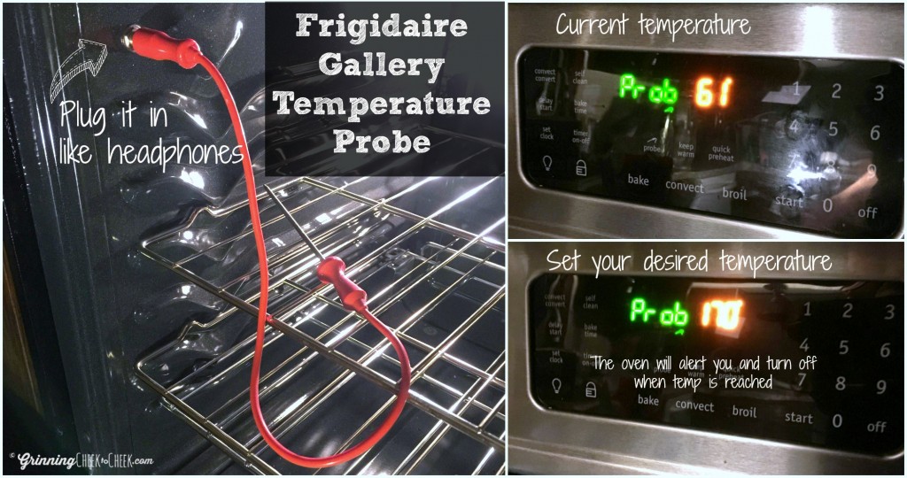 temperature probe
