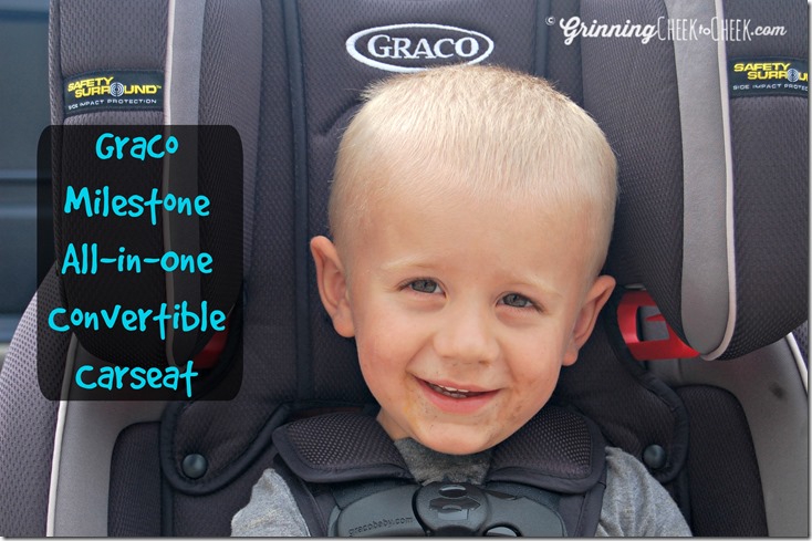 Graco Milestone Seat