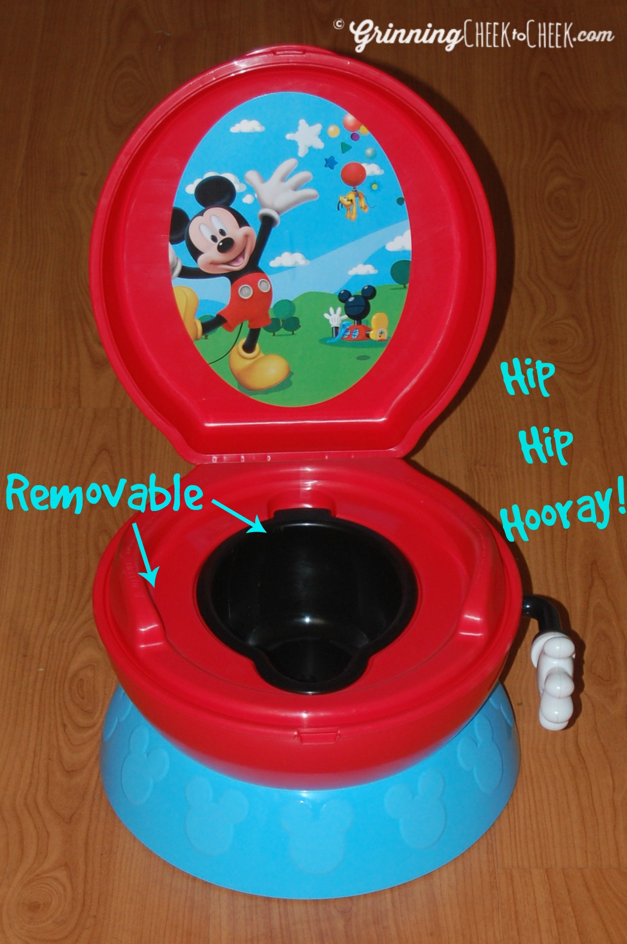 Potty Training Tips- Potty Training Help