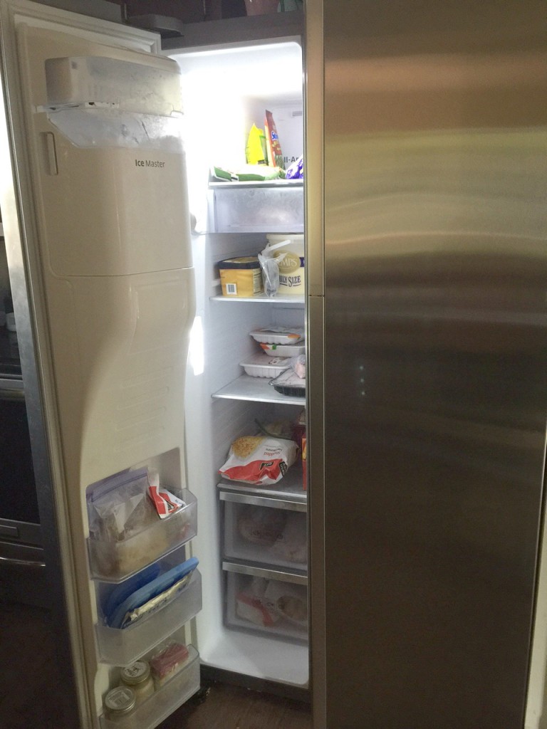 Samsung Showcase Side By Side Freezer