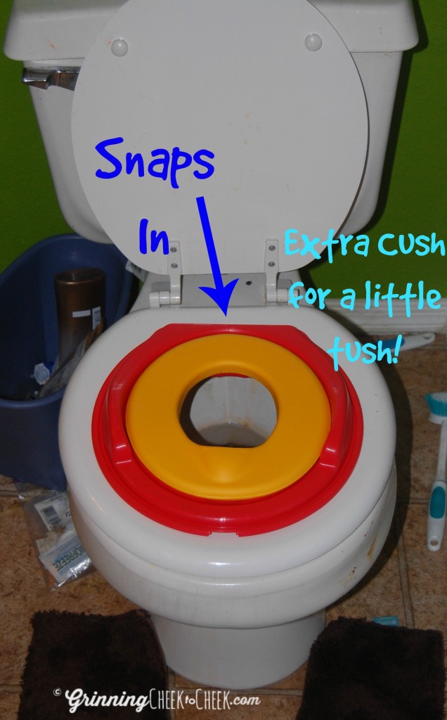 Potty Training Tips