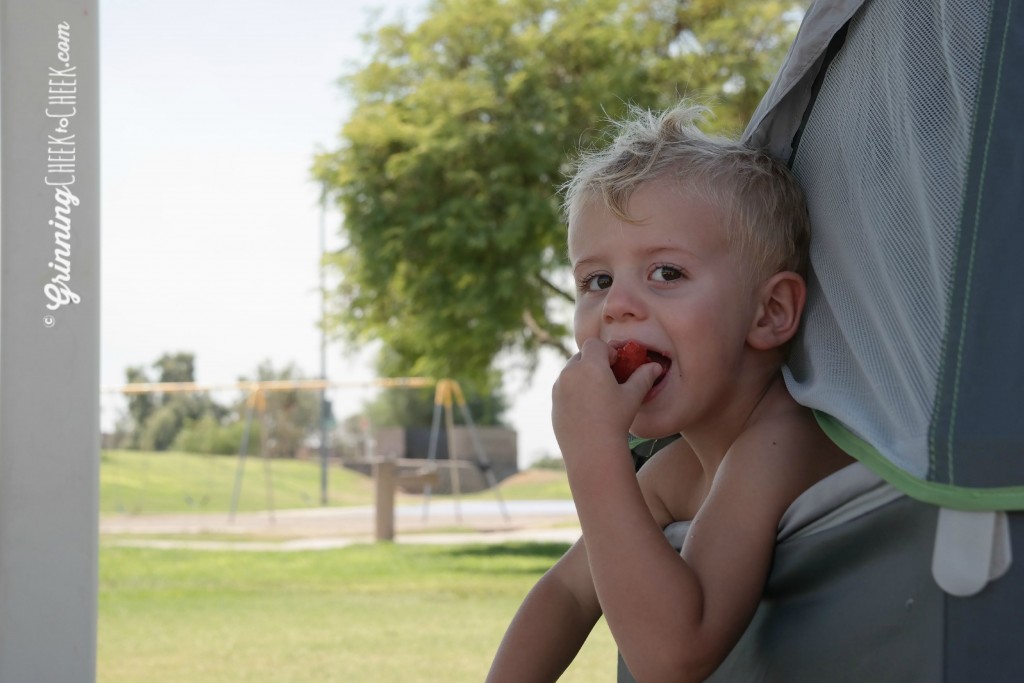 Graco snacking