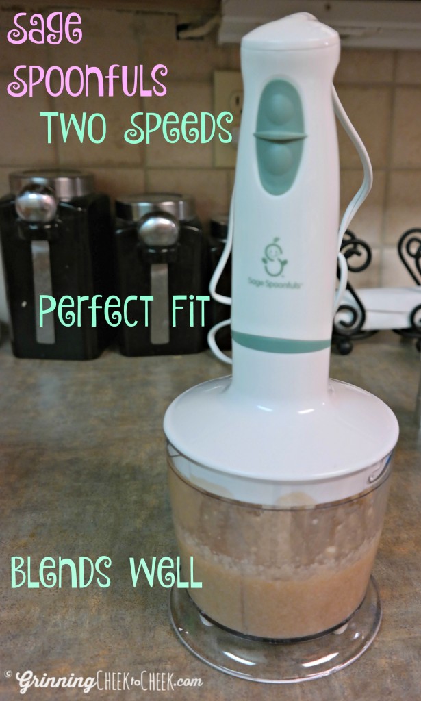 sage spoonfuls food processor