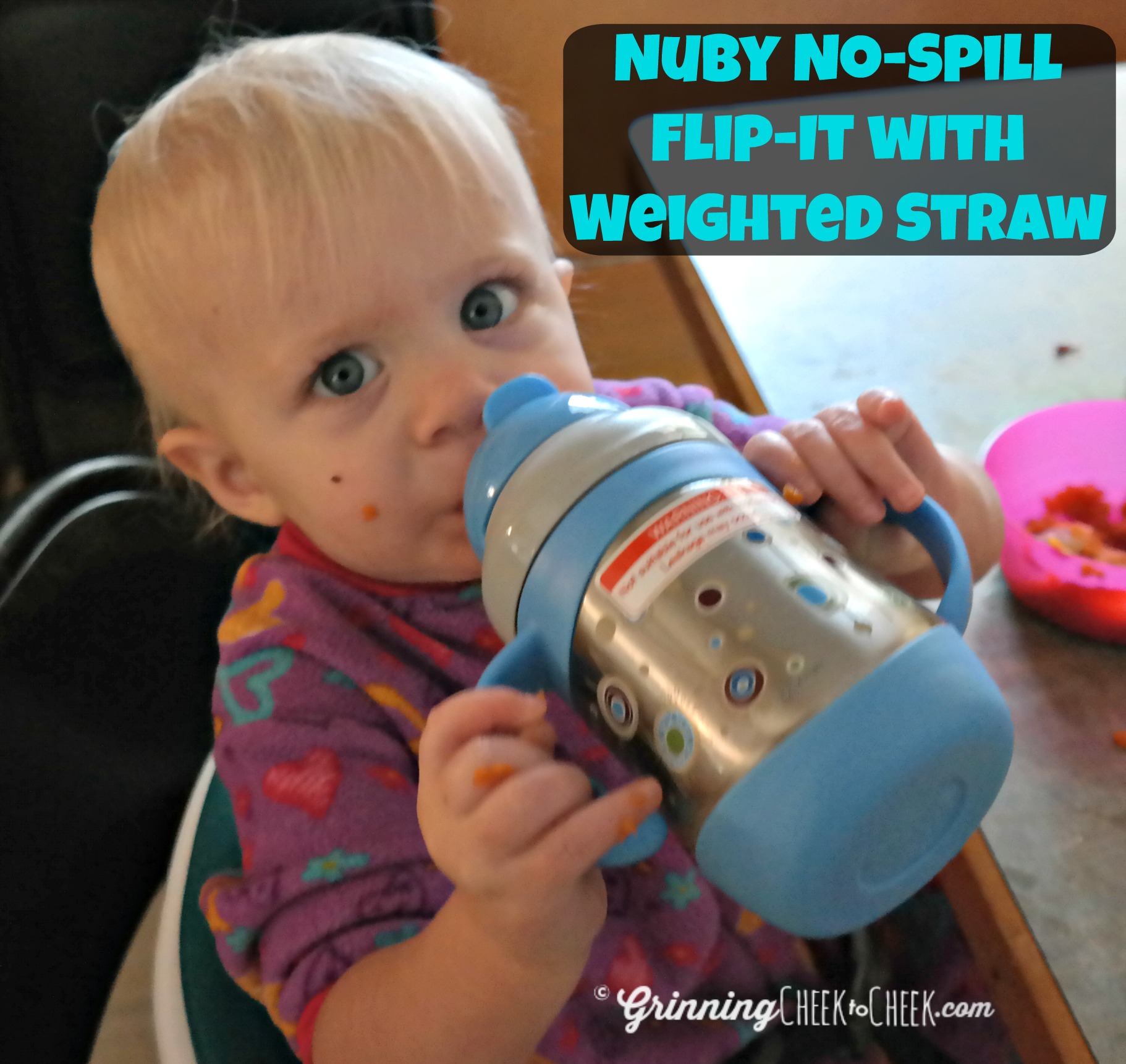 Insulated Stainless Steel Sippy Cup