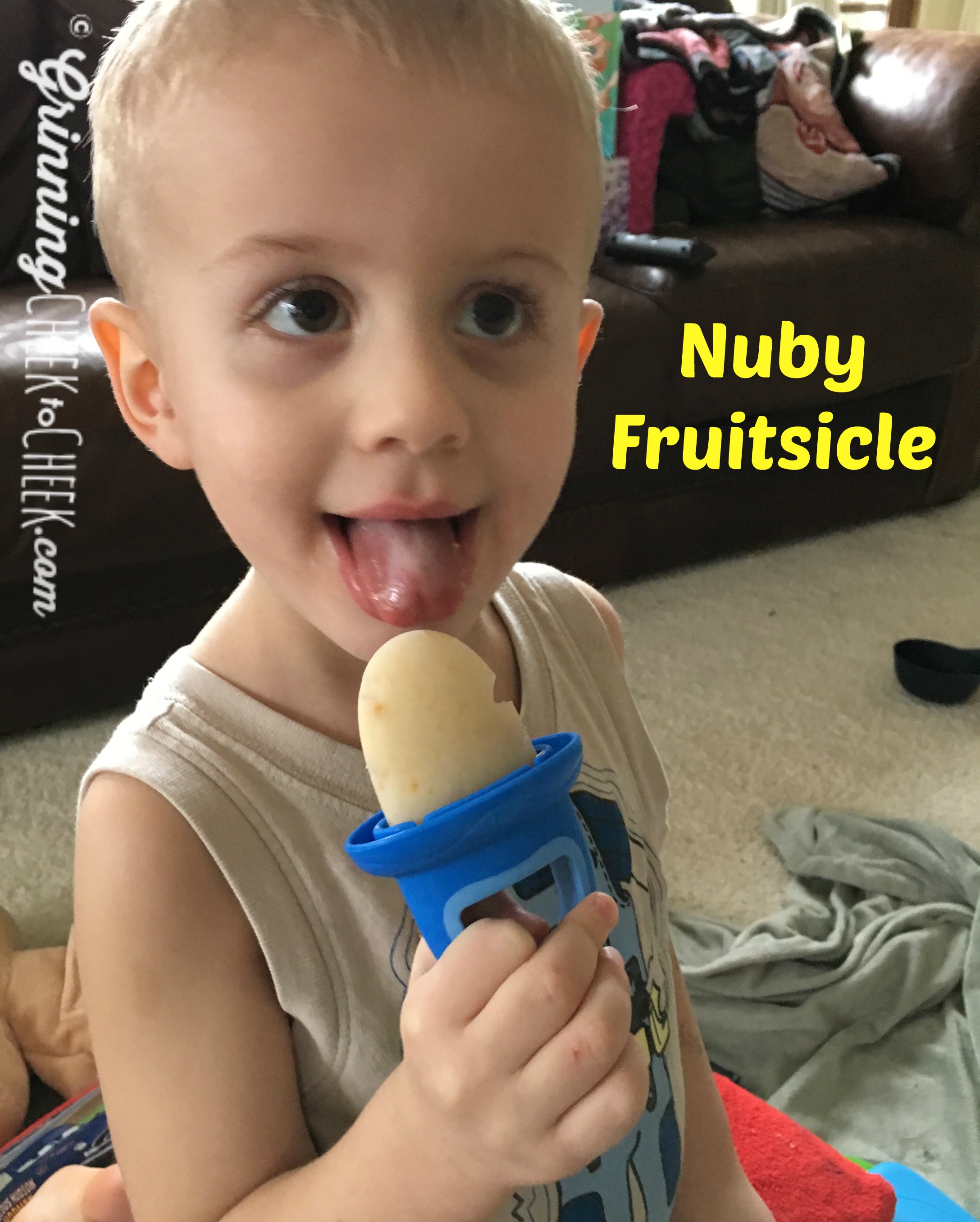 Nuby Garden Fresh Fruitsicle Frozen Pop Tray, Pack of 2