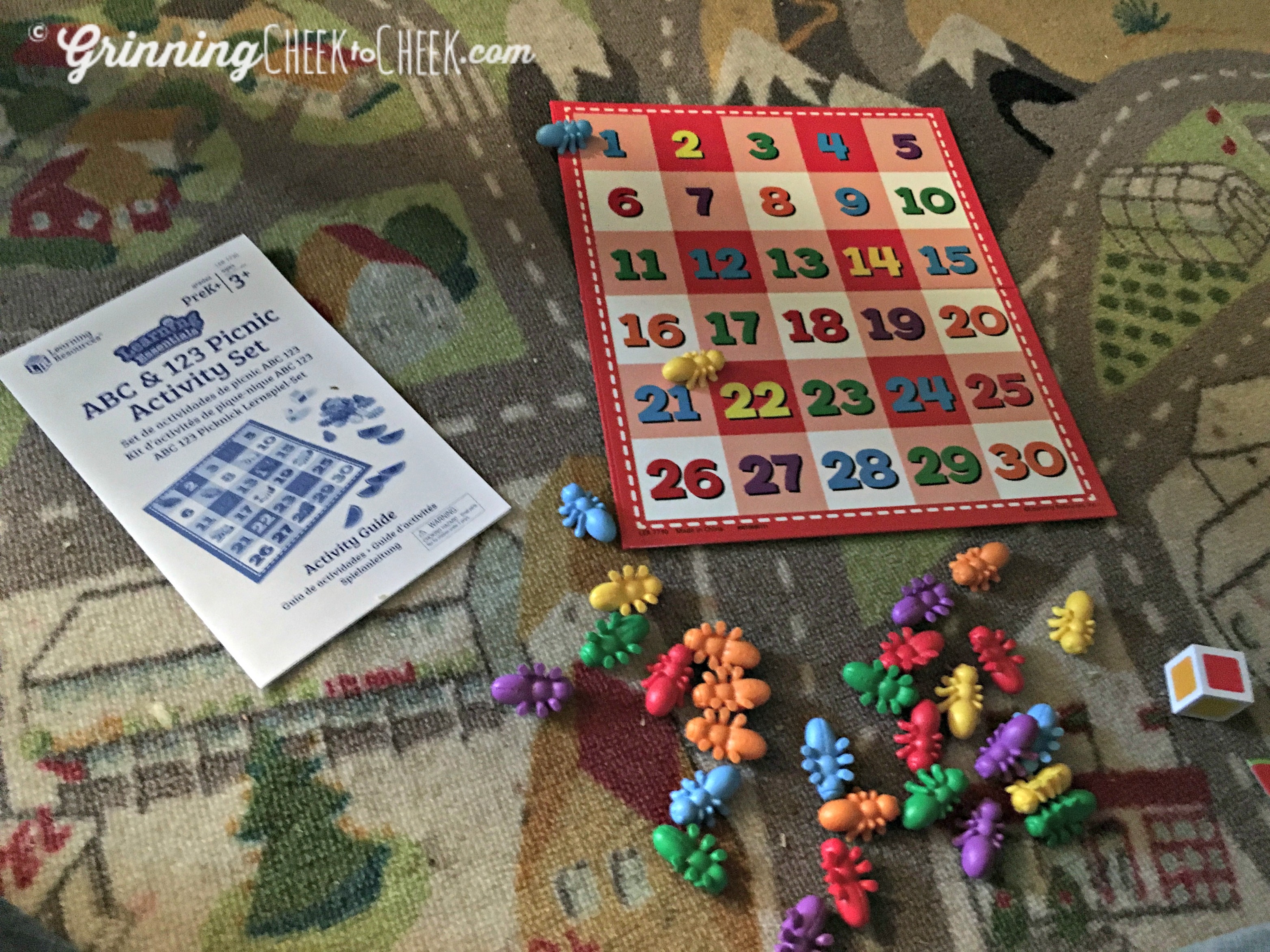 Learning Essentials ABC & 123 Picnic Activity Set — Review