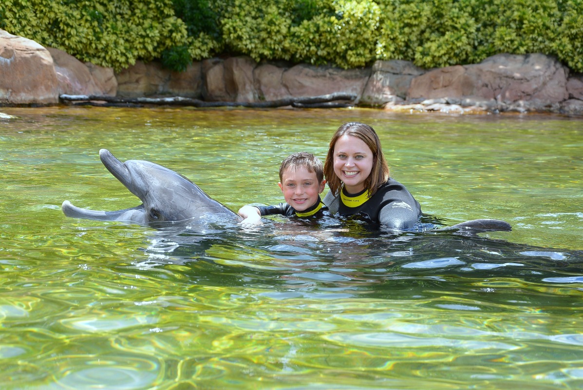 Disocvery Cove Dolphin Swim