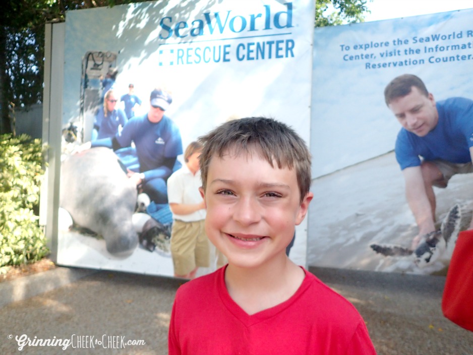 SeaWorld Rescue Center