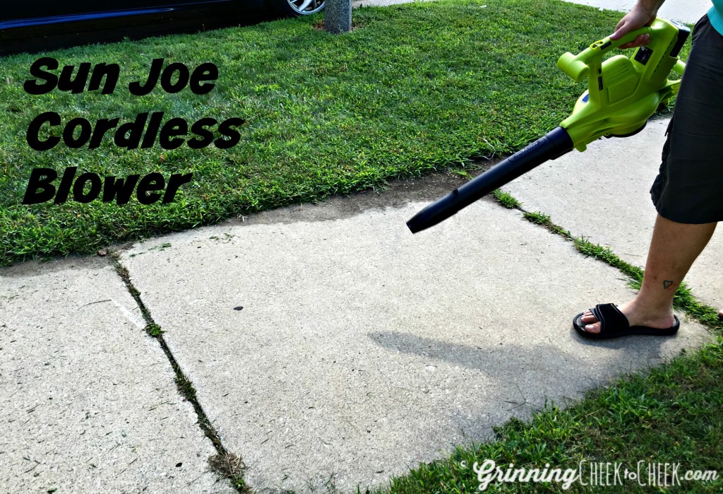 Best Cordless Blowers