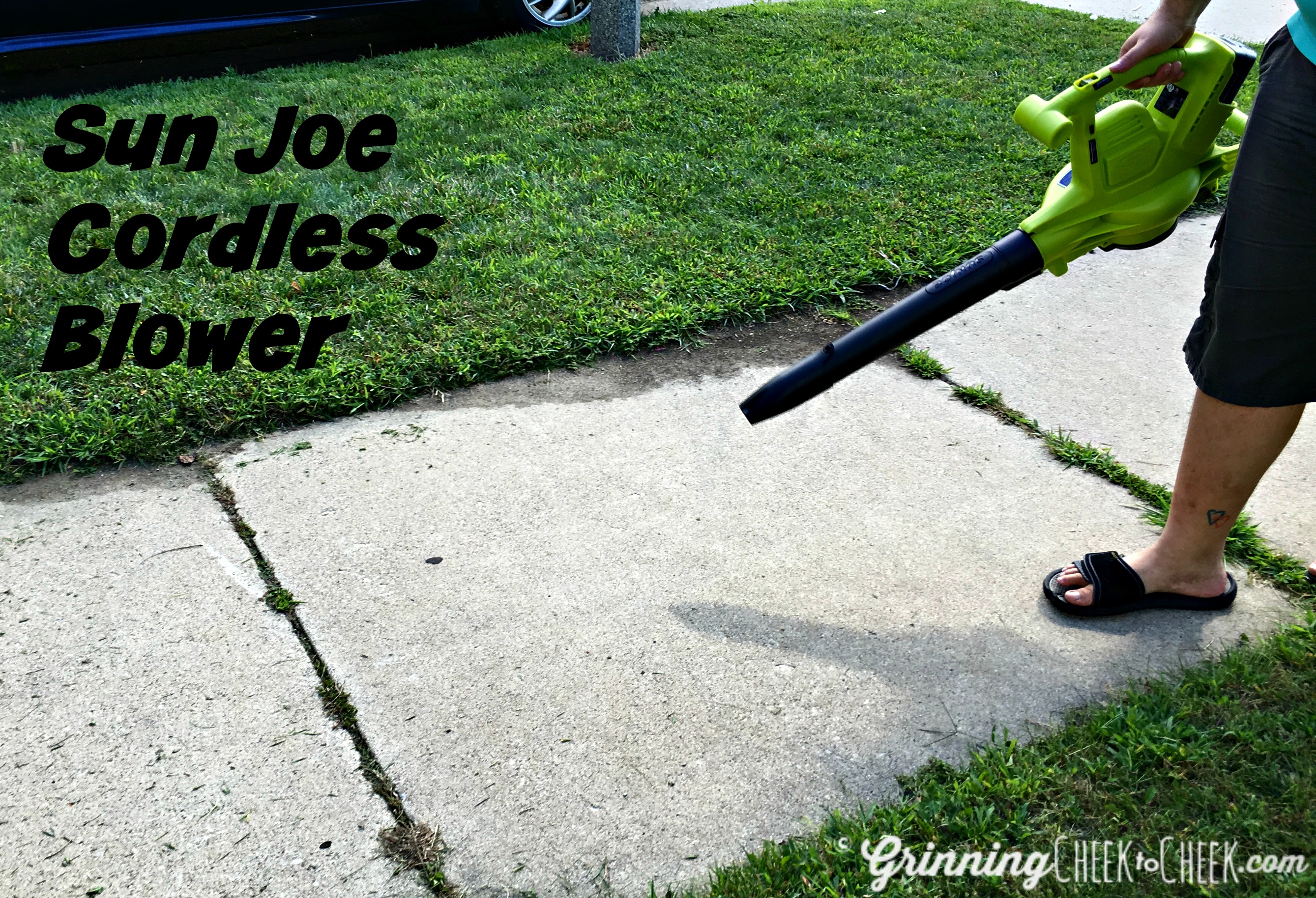 Best Cordless Blowers – Outdoor Cleaning Easy with SunJoe