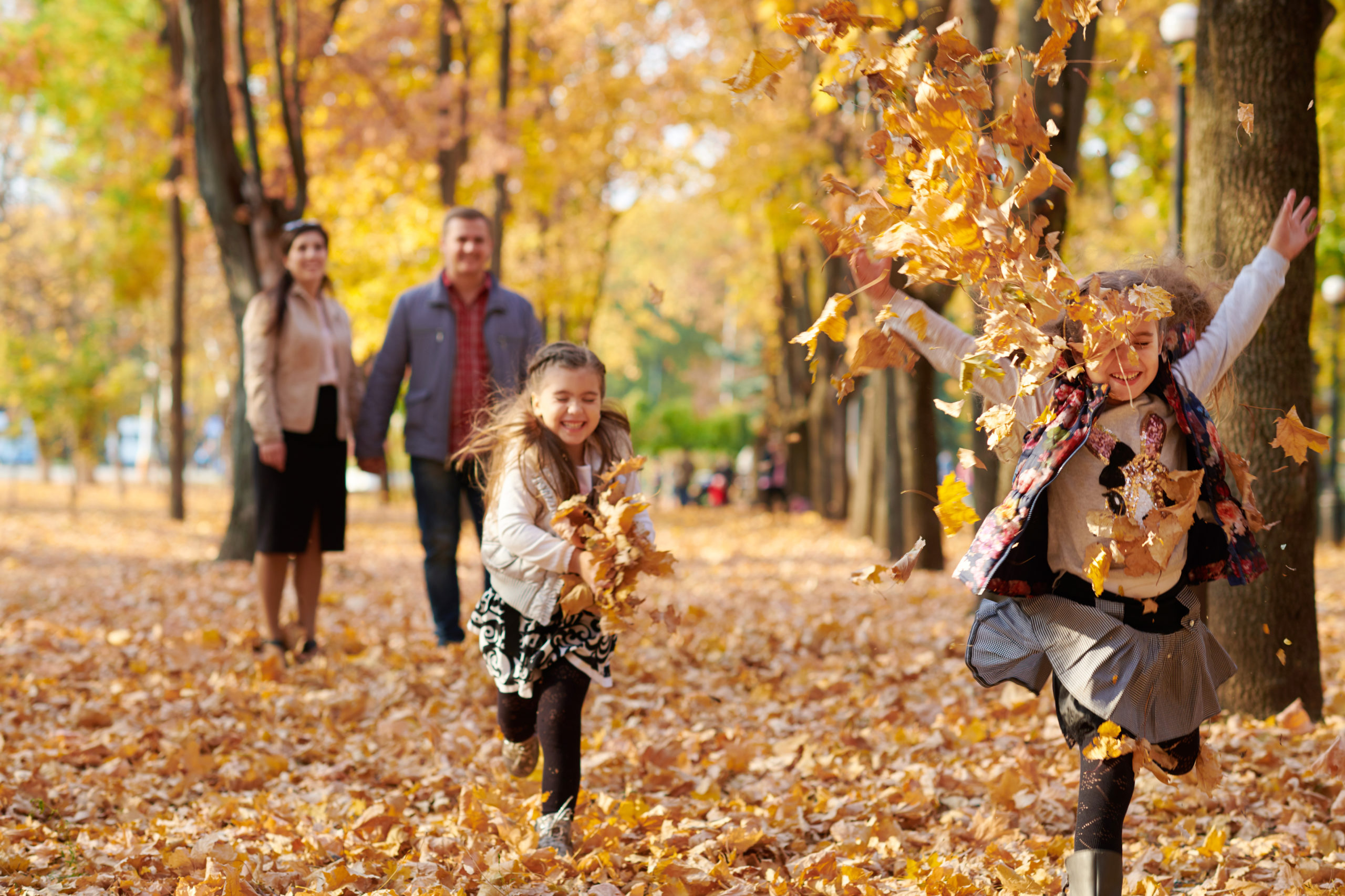 Fun Fall Activities for the Family
